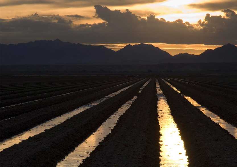 Photo of agricultural field