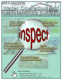 Image of Inspect! Issue cover.