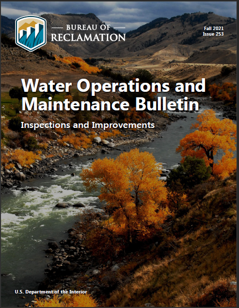 Image of Inspections and Improvements Issue cover.
