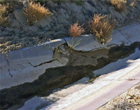Photo of a broken concrete canal lining with vegetation. Cover of Concrete Manual.
