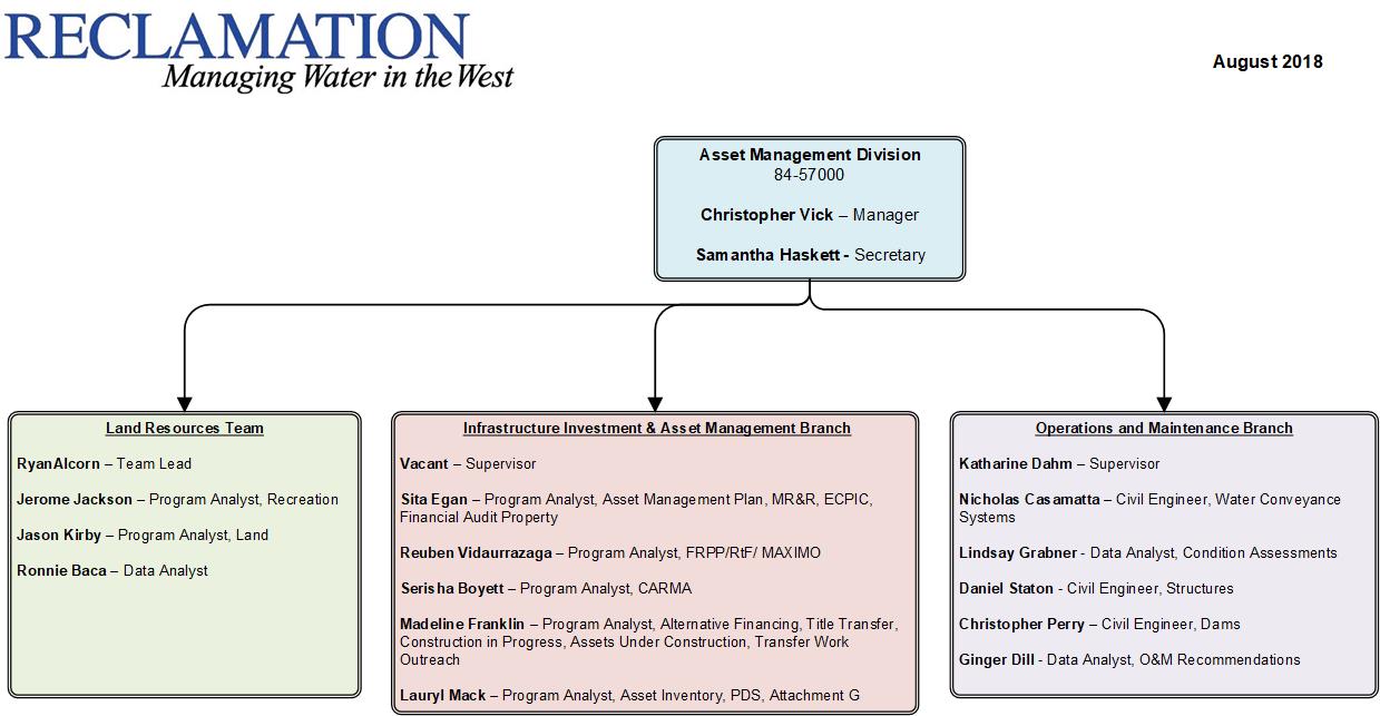 Asset Management Organization Chart