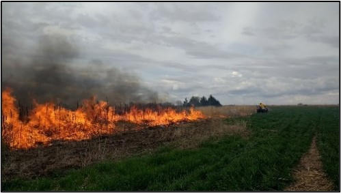 Land Burning