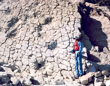 Photo of Dinosaur Tracks at Flaming Gorge Reservoir