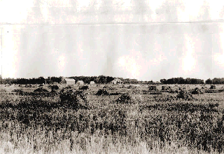 1915 Photo