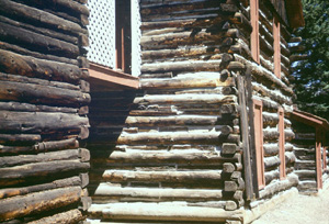 Detail of a portion of the back of the log hotel showing replaced logs.