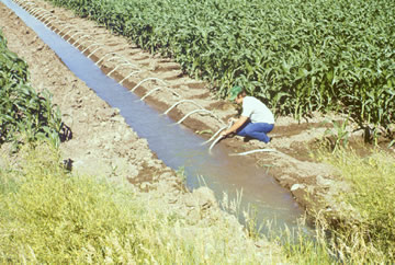 Water for Irrigation
