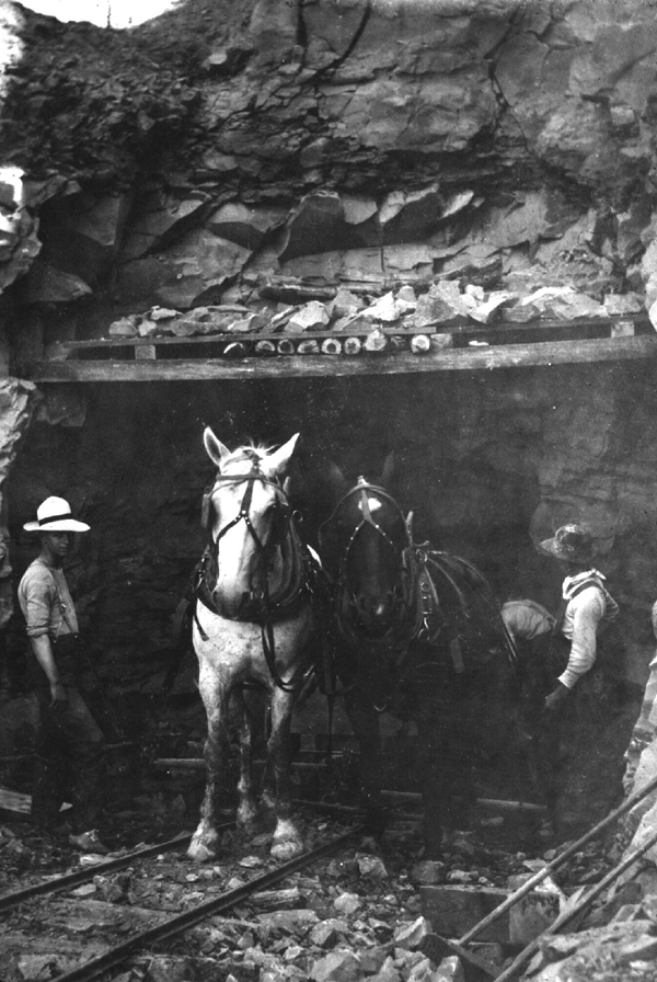 Horse Drawn Trolleys at the Early Hunltey Project