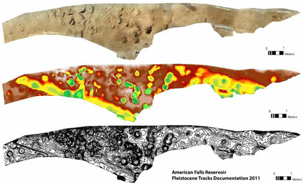 Photogrammetry data involving three different  presentations: top view shows raw photos; middle view shows subtle differences in elevation in order to highlight sunken footprints (tracks) - deeper areas  are shown in green, a contrasting color from the ground surface level, in order to help them stand out. Bottom photo is a represen­tation of the contour lines, which is a different way that the 3D data can be shown in 2D - the contour lines can be read like a topographic map, wherein the darker, denser line groupings can be interpreted as steeper areas, coinciding with the side walls  of the footprint impressions.