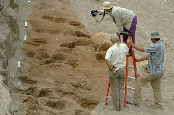 Photographer, Neffra Matthews, BLM, takes overlapping  photographs to enable photogrammetry of the track site.