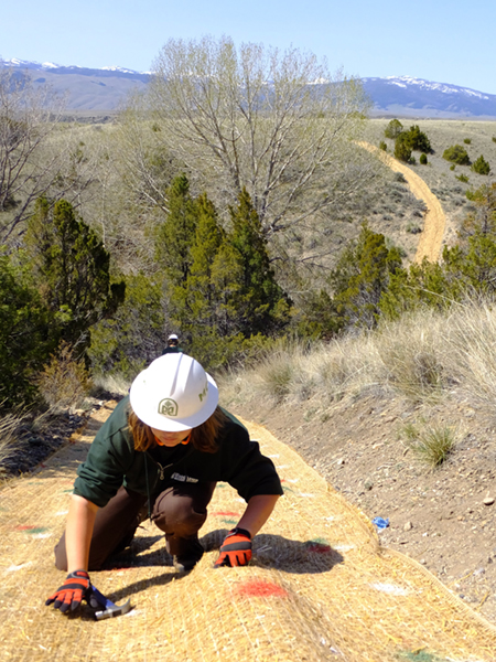 A Montana Conservation Corps member secures erosion control fabric to help native plants establish on a steep hillside.