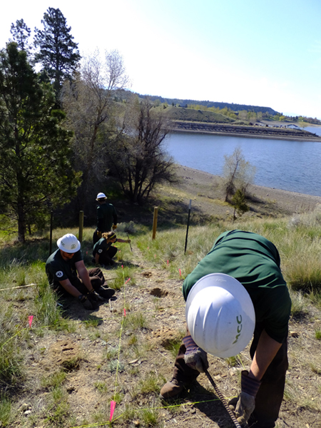 Montana Conservation Corps members rake and seed test plots with native vegetation to restore an OHV trail.