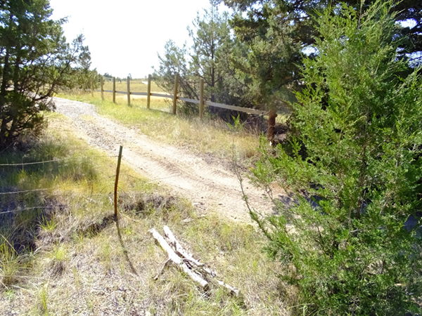 This unauthorized trail, created when someone cut the boundary fence, has seen heavy OHV use but will be restored this season with help from the MCC.