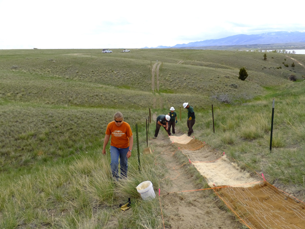 Canyon Ferry Natural Resource Specialist, Taryn Preston, has been working with crews from the MCC to determine the best methods of restoring trails with native vegetation.