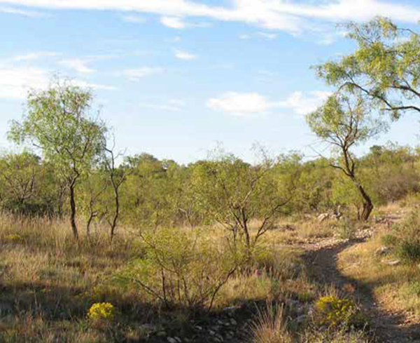 Texas Parks & Wildlife Department State Park at Twin Buttes.