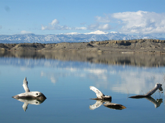DriftwoodonlakePikesPeak200