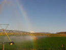 Irrigation water causing a rainbow near the Sun River east of Pishkun Reservoir. Photo by Steve Marquez.