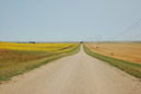 The cut through the sunflower field left of the road is from a recently installed rural water pipeline in Emmons County south of Bismarck, ND - part of the South Central Rural Water System in Emmons County, ND.
