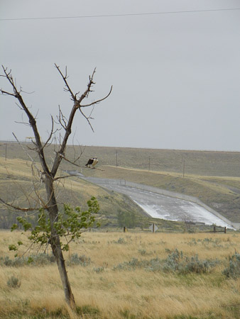 84 Lower Marias Unit, Marias Division, P-SMBP