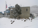 Canadian geese waiting out late fall storm in front of Eastern Colorado Area Office. Photo by Tom Moritz.