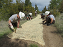 Montana Conservation Corps workers restore an off-highway vehicle trail at Canyon Ferry Reservoir.