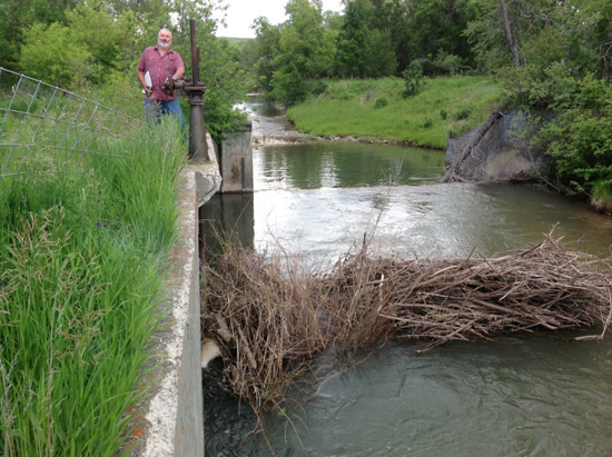 Headgate Blockage on the Willow Creek Feeder Canal
