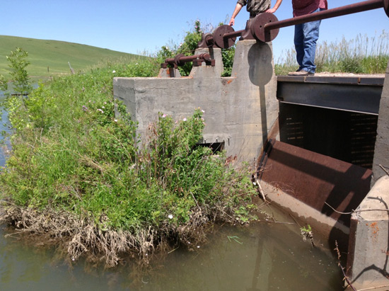 Wasteway Structure on Willow Creek Feeder Canal