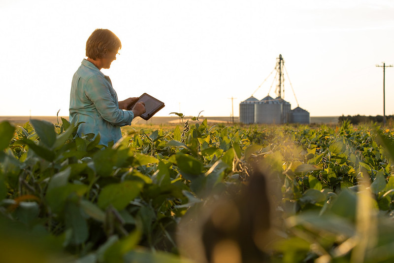 A soybean farmer using broadband technology with a mobile device tracks crop growth. Photo: United Soybean Board.