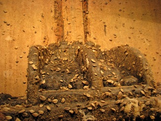 quagga mussels on lower Nevada intake tower