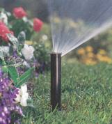 Image of a sprinkler and flowers
