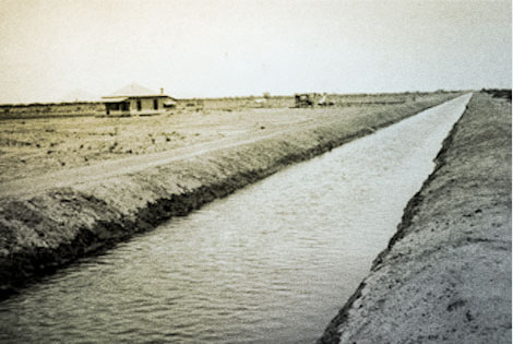 Desert homestead along the Eastern Canal three miles east of Mesa, 1910. (Reclamation photograph)