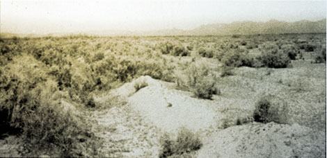 Several miles east of Phoenix, formerly cultivated land has returned to desert. A lateral, visible in the foreground, lies useless because of a lack of water. Droughts, floods, and erratic river flows would plague Salt River Valley farmers until a dam was built to tame the river and some formal organization formed to promote equitable water management, 1902. ( Reclamation photograph) 