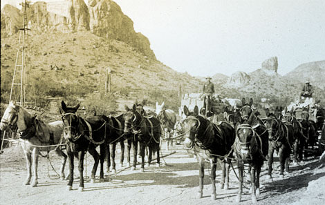 Freight wagon teams at Government Wells on way to Roosevelt Dam, 1907. (Reclamation photograph)