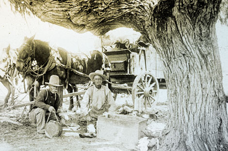 Teamsters preparing lunch at Grapevine Springs en route from Glode to Roosevelt, 1906. (Reclamation photograph)