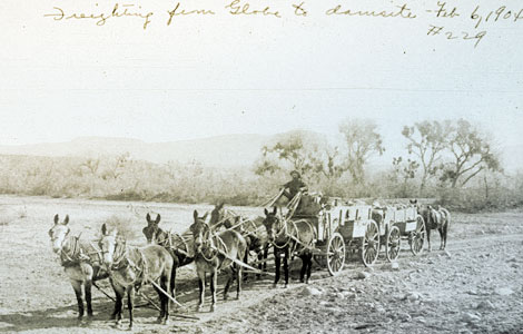 Freight wagons with mule team bringing supplies to the Roosevelt Dam site on the road from Globe, 1904. (Reclamation photograph)