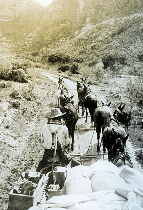 Government freight wagon at foot of Fish Creek Hill on way to dam site, 1907. (Reclamation photograph)