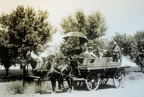 Citrus was a major economic crop in the Salt River Valley. Here, boxed citrus is ready for market. (Reclamation photograph)