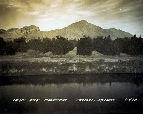 This citrus grove is located along the Arizona Canal from which it receives its irrigation water (Camelback Mountain is in the background).  For many years, providing water for irrigation was the primary goal of the Salt River Valley Water Users Association. (Courtesy of Salt River Project)