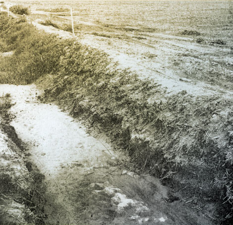 Full Strength – What was left of Johnson Grass after being treated with undiluted aromatic oil. Each of the first two applications was made at 160 gallons per acre. Five following applications made at continuously decreasing volumes. Total volume of all used, 585 gallons per acre. Note stream condition.