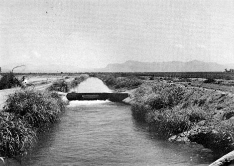 Roosevelt Water District main canal. Before recent construction, this weed-infested section of the main canal had an old, cracked, and leaky concrete lining. Arizona Farmer-Ranchman, September 1969.