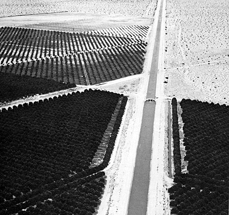 Aerial view shows the contrast between irrigated citrus groves and desert near Yuma, Arizona. Photo from The Reclamation Era, 1980. (Reclamation photograph)
