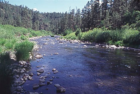 The Black River is a boundary between the White Mountain Apache Reservation and the San Carlos Apache Reservation. Photo courtesy of the Arizona Game and Fish Department.