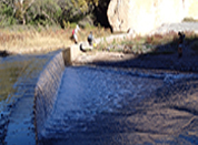 Blue River Fish Barrier