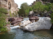 Fossil Creek Fish Barrier