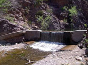 Hot Springs Fish Barrier