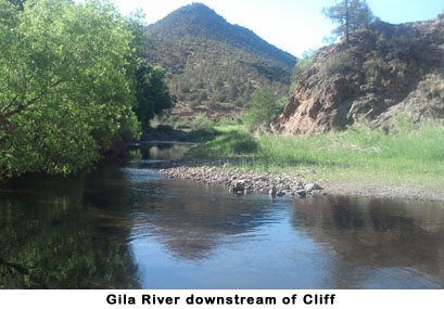 Overlooking the Gila River from Turkey Creek Rd.