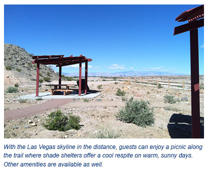 Wetlands Park Shelter