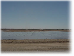Photo of Levee Basin Irrigation