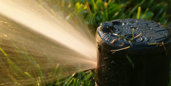Water Sprinkler