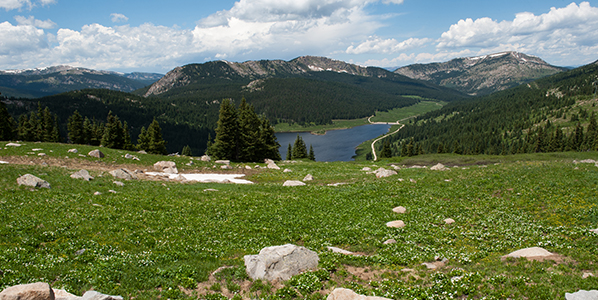 Mountains of Colorado showing the headwaters of a western basin including wildflowers, snow and mountains.
