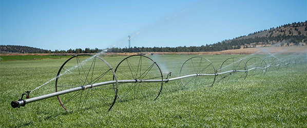 photo of field irrigation